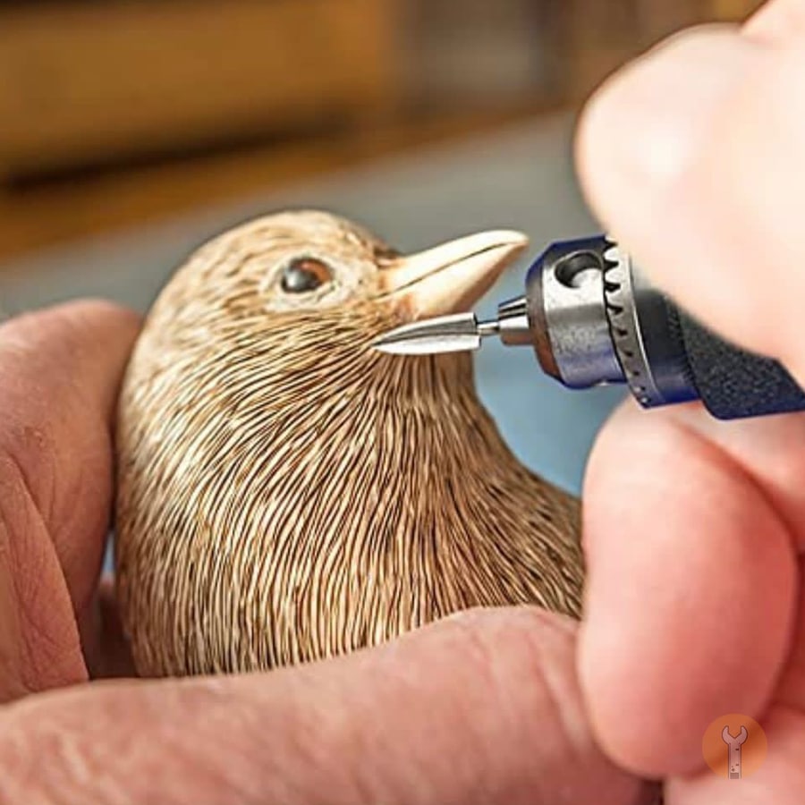 چوب ساب سه پره ای ۵ عددی